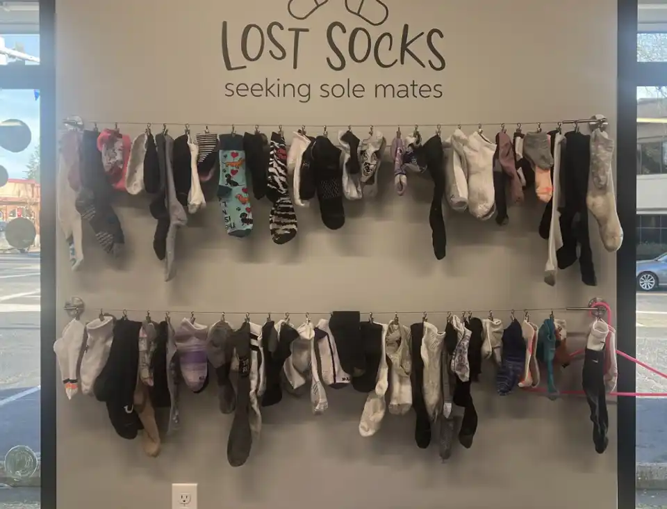 Lost Socks